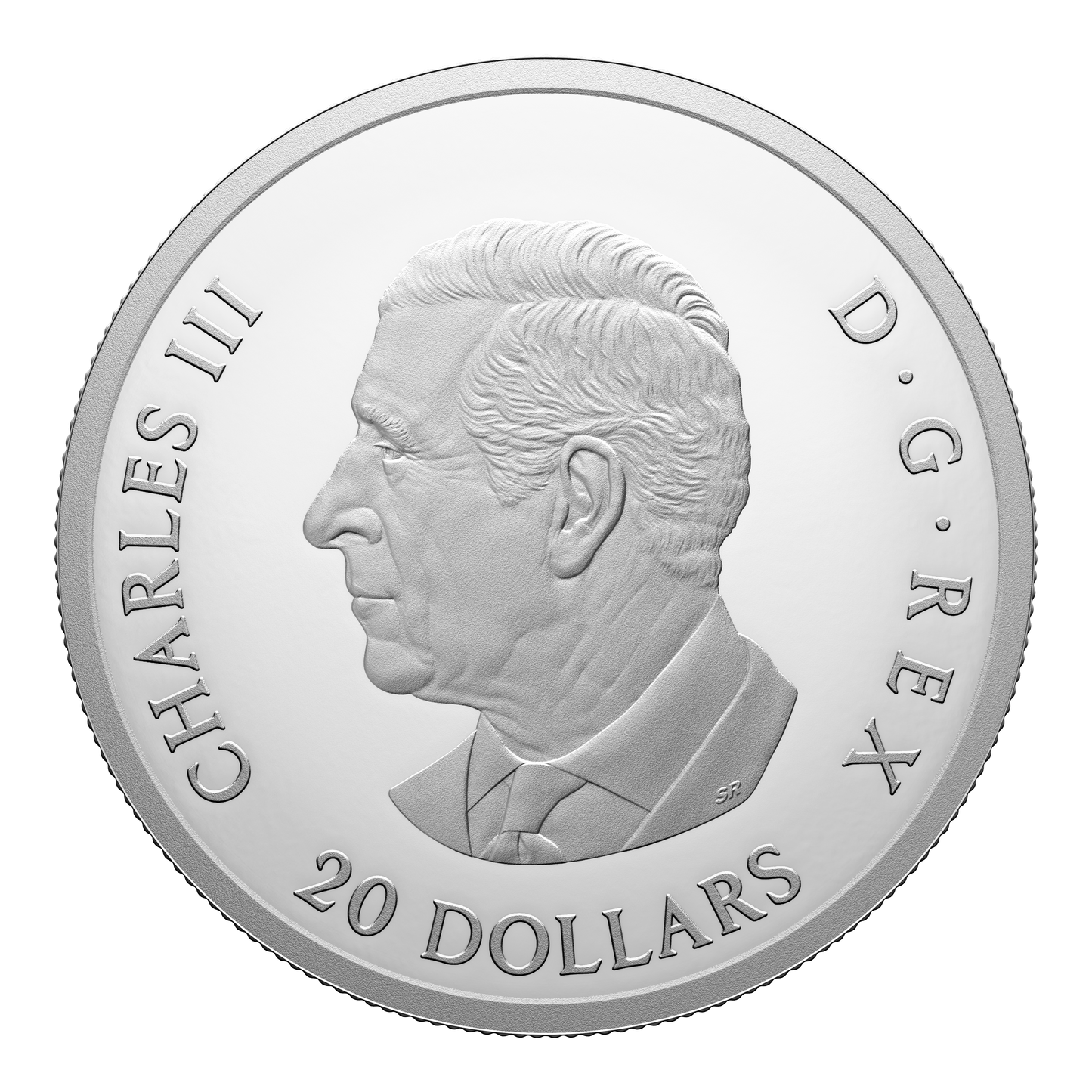 2024 Royal Canadian Mint Fine Silver Proof Colourised $20 Coin - Remembrance Day