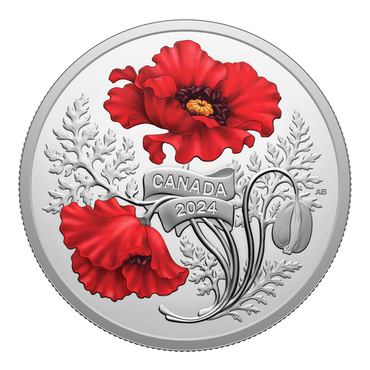 2024 Royal Canadian Mint Fine Silver Proof Colourised $20 Coin - Remembrance Day
