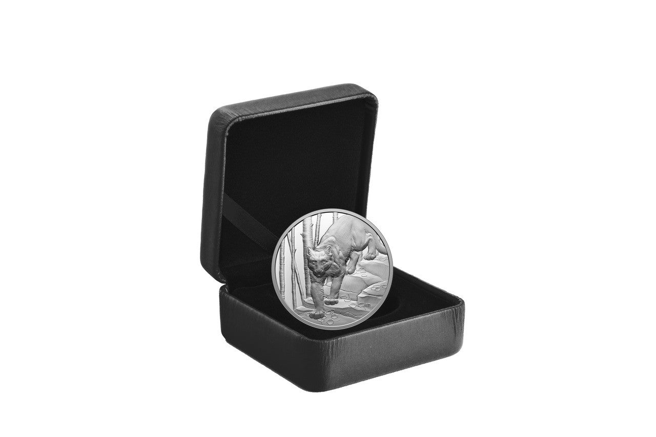 2024 Royal Canadian Mint UNC Fine Silver Ultra-High Relief $20 Coin - Great Hunters: Cougar