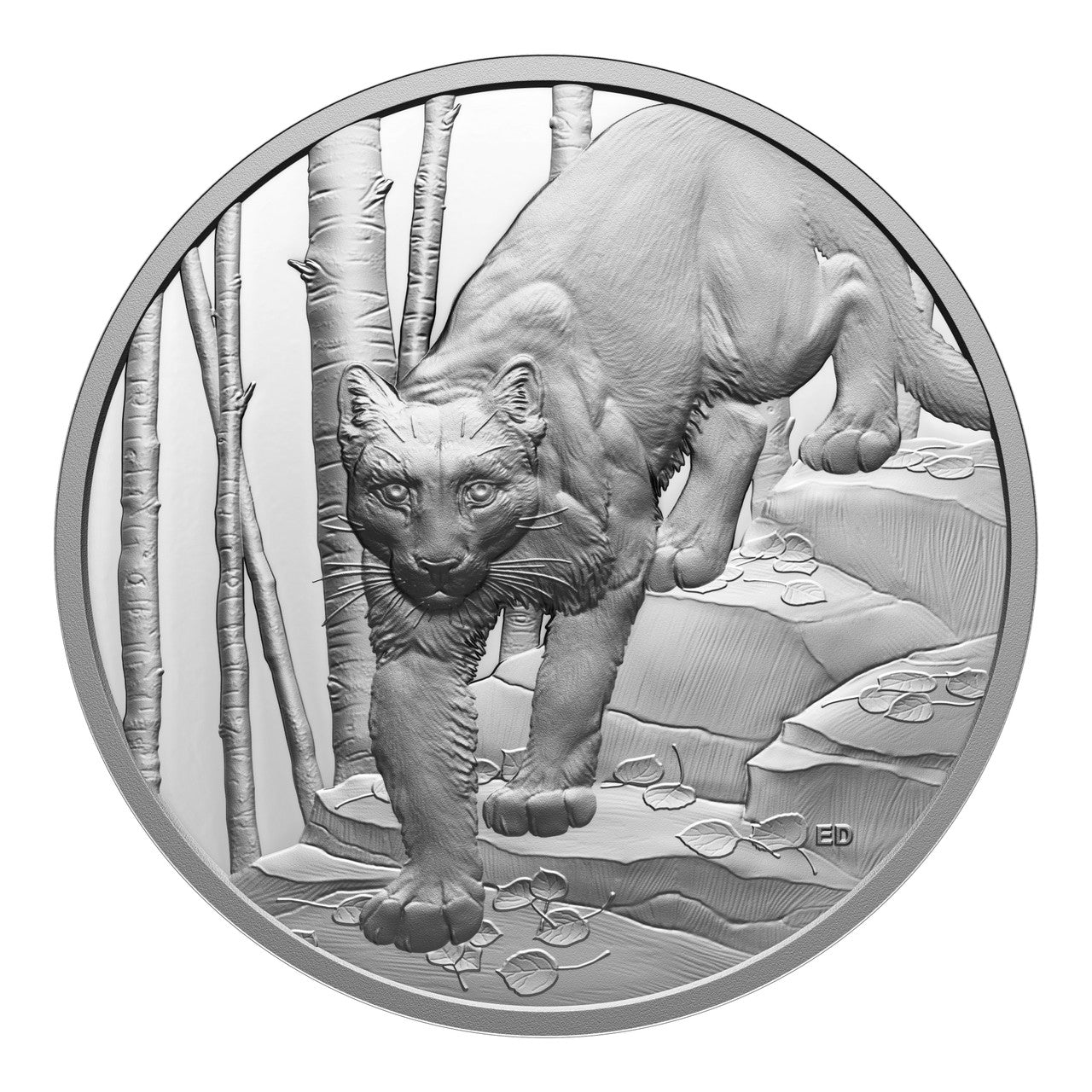 2024 Royal Canadian Mint UNC Fine Silver Ultra-High Relief $20 Coin - Great Hunters: Cougar