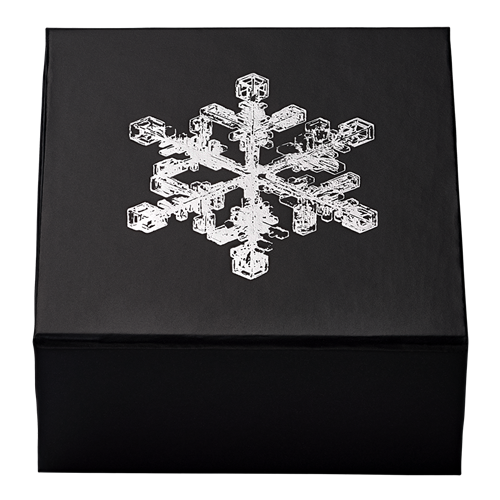 2024 Royal Canadian Mint Fine Silver $20 Coin - Snowflake
