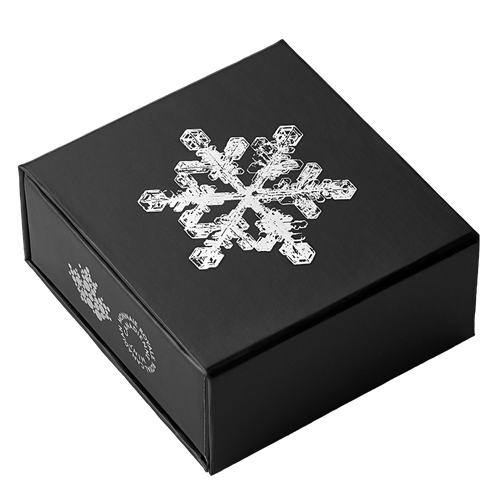 2024 Royal Canadian Mint Fine Silver $20 Coin - Snowflake