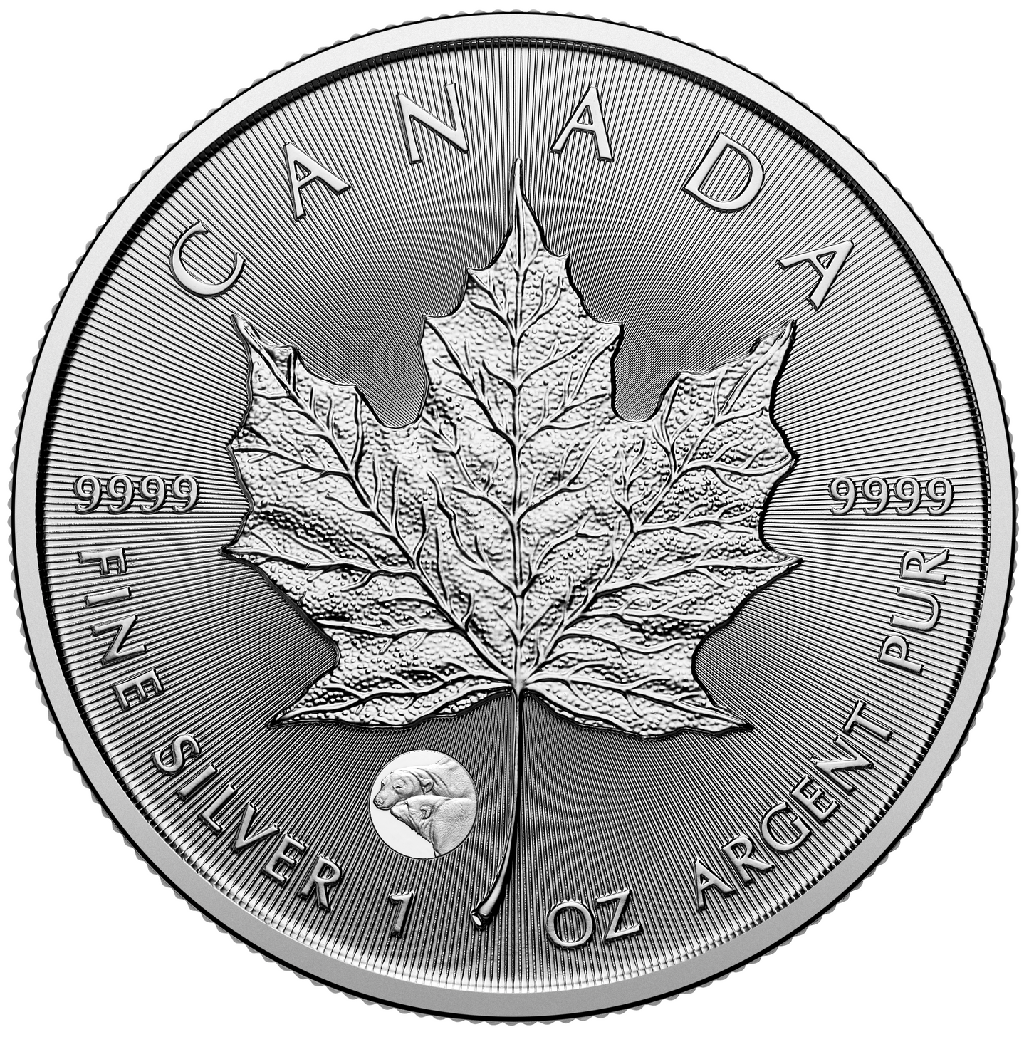 2025 Royal Canadian Mint UNC Pure Silver 1oz $5 Coin - Treasured Maple Leaf Polar Bear Privy