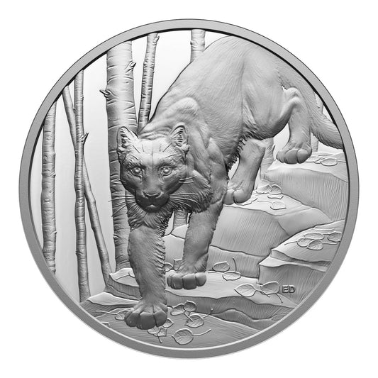 2024 Royal Canadian Mint UNC Fine Silver Ultra-High Relief $20 Coin - Great Hunters: Cougar
